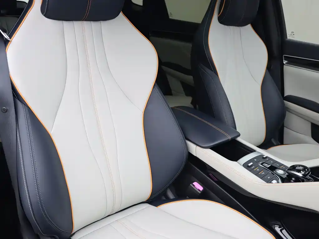 BYD Song PLUS New Energy 2022 — фото 9