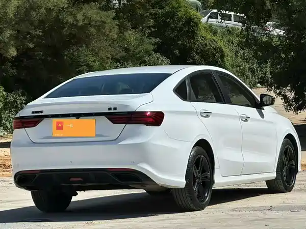 Geely Binrui 2021