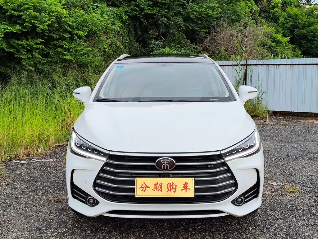 BYD MAX 2019 — фото 1
