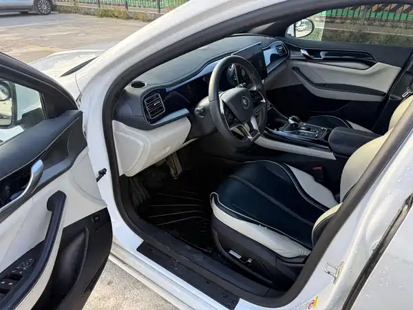 BYD Qin PLUS 2021