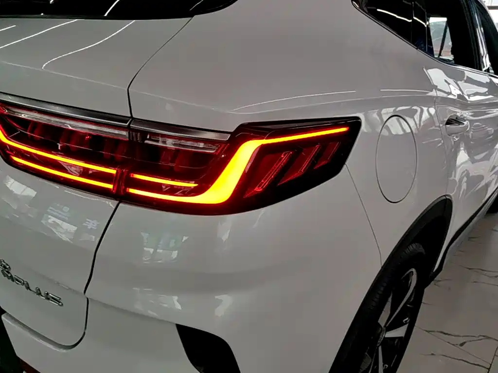 BYD Song PLUS New Energy 2022 — фото 8
