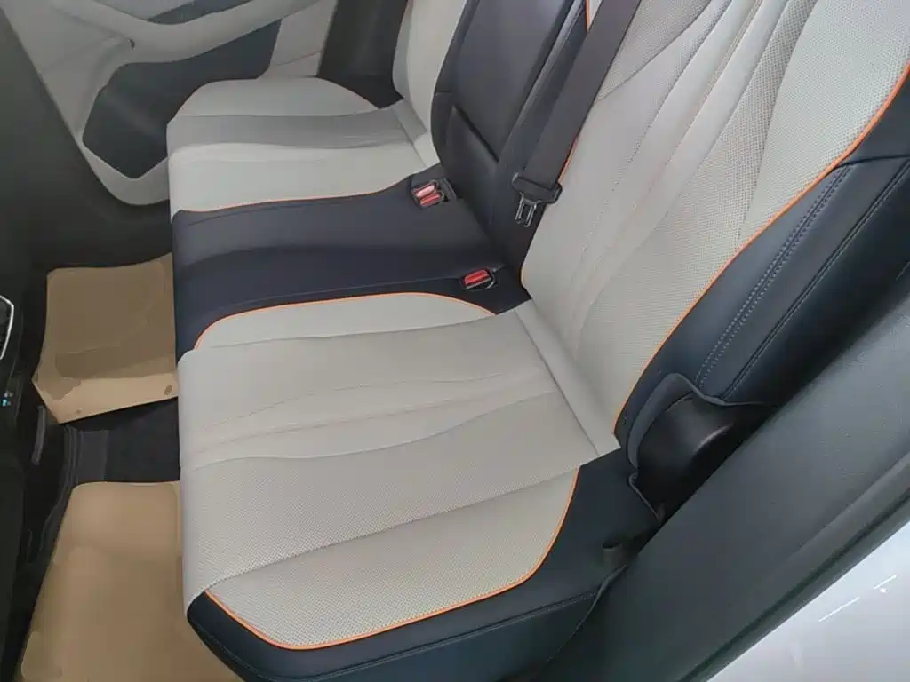BYD Song PLUS New Energy 2022 — фото 17