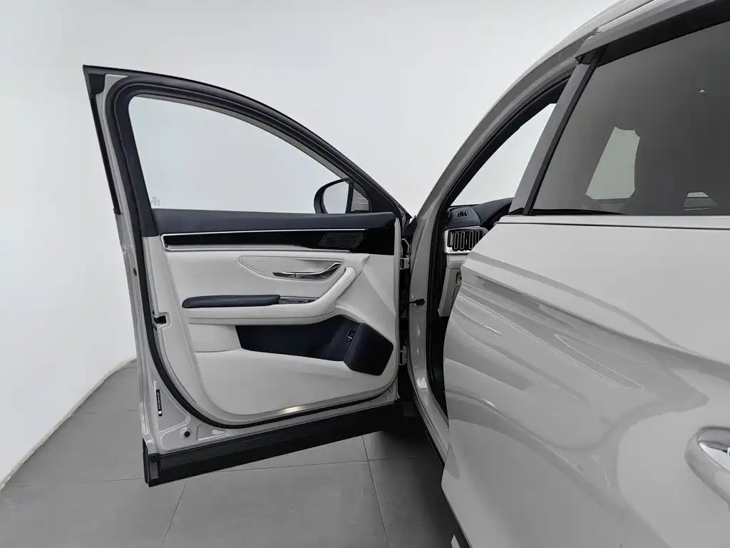 BYD Song PLUS New Energy 2024 — фото 8