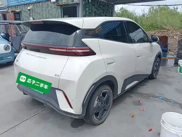 BYD Seagull 2024