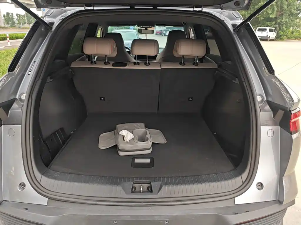 BYD Song Pro New Energy 2024 — фото 19