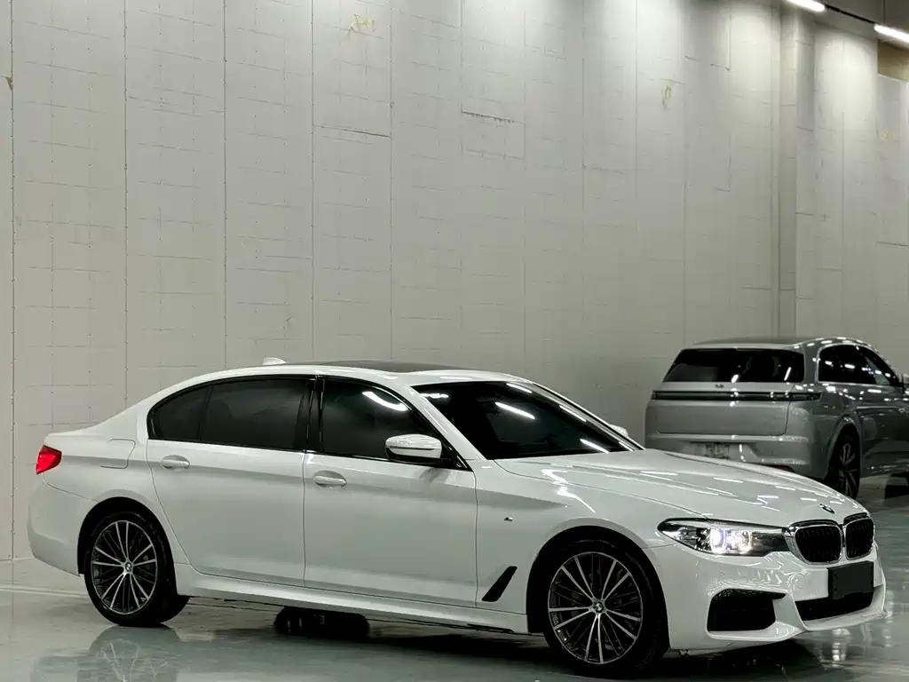 BMW 5 Series 2019