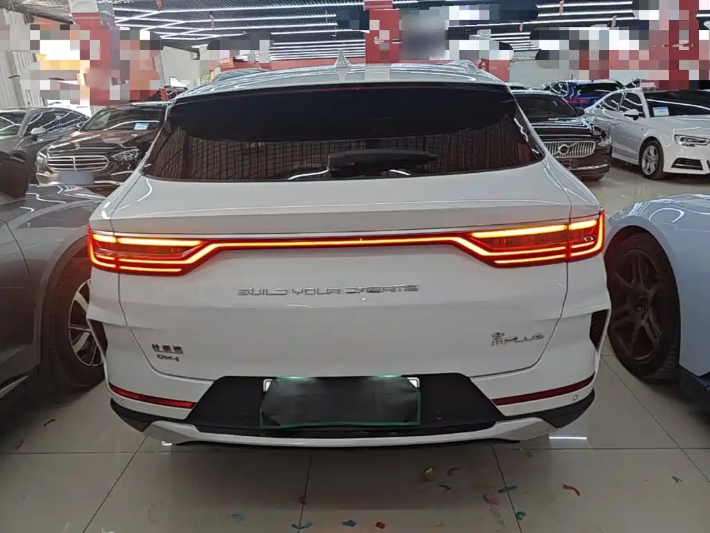 BYD PLUS New Energy 2023 — фото 4
