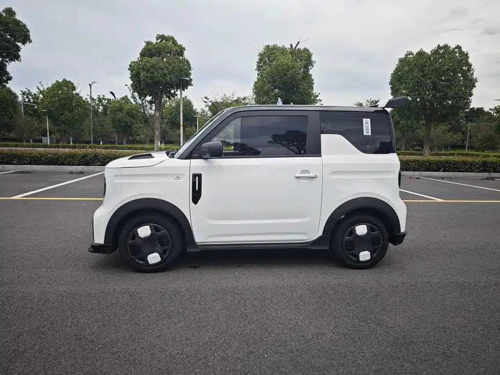 Galaxy Panda 2025