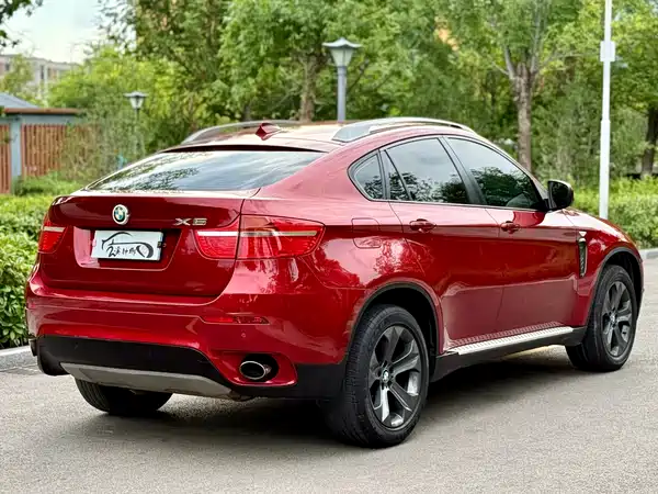 BMW X6 2010