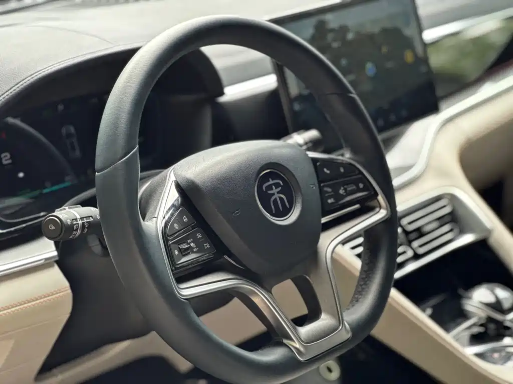 BYD PLUS New Energy 2022 — фото 12