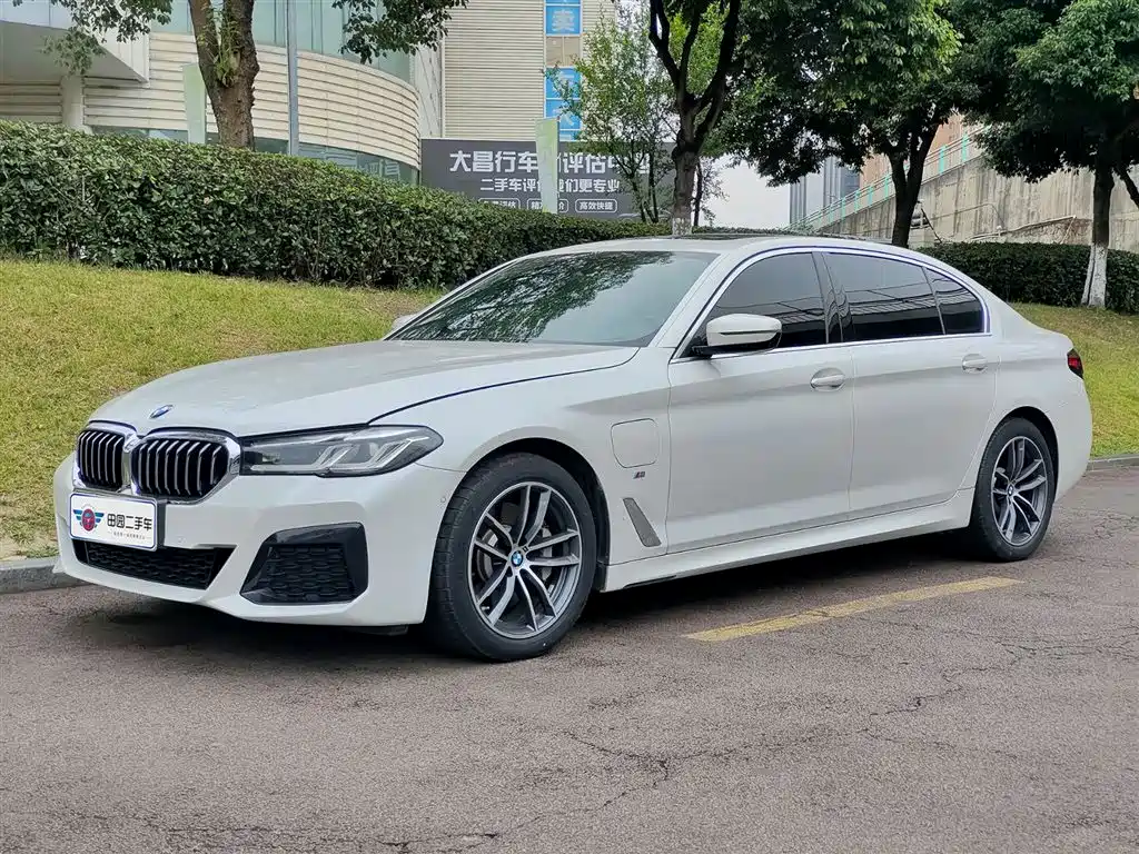 BMW 5 Series New Energy 2021 — фото 1