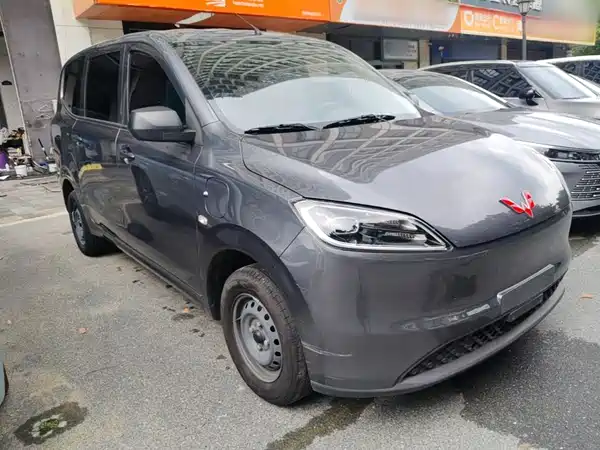Wuling Hongguang New Energy 2025