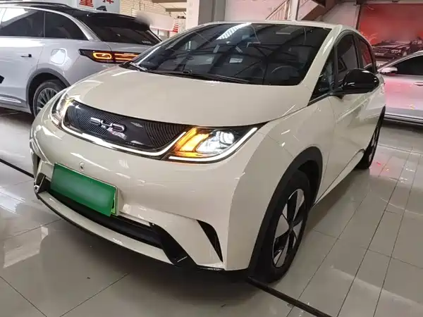 BYD Dolphin 2024