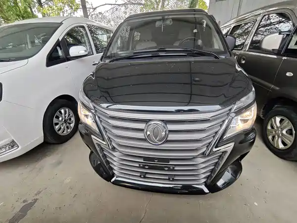 Dongfeng Lingzhi 2020