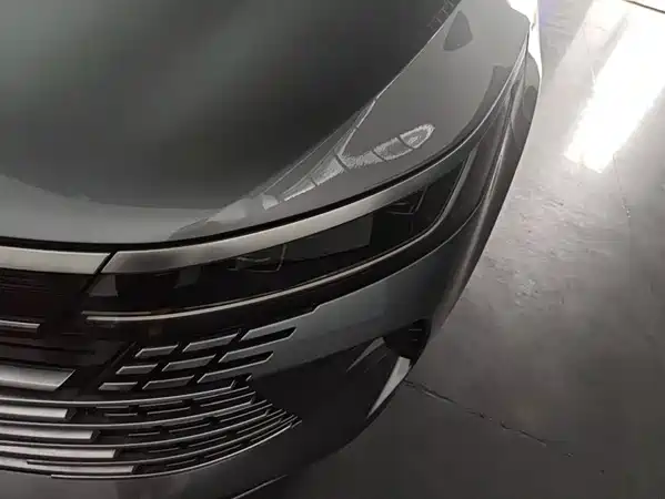 BYD Destroyer 05 2024