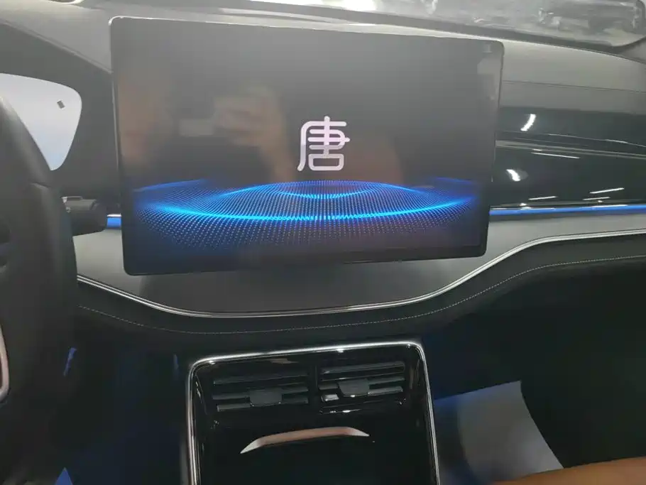 BYD Tang New Energy 2024 — фото 13