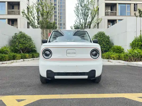 Geely Galaxy Panda 2024