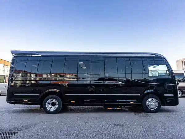Hongqi Golden Sunflower 2024