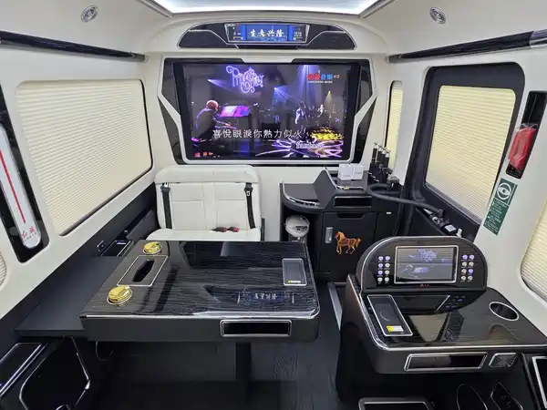 Hongqi Golden Sunflower 2024