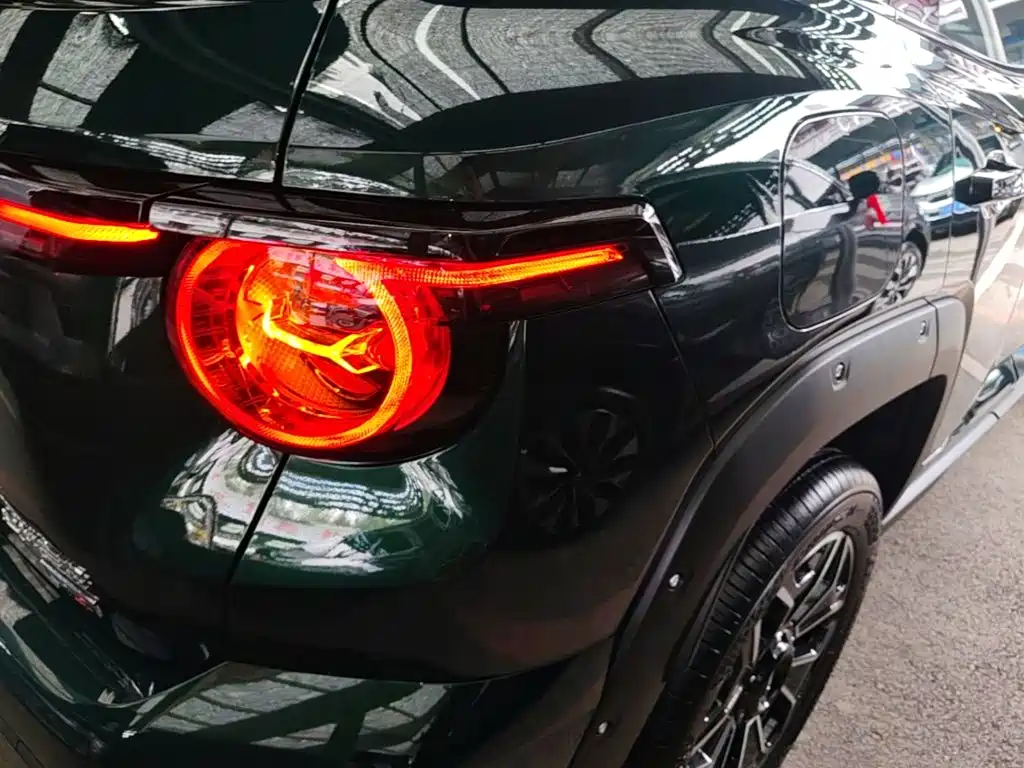 Haval Big Dog PLUS New Energy 2025 — фото 8