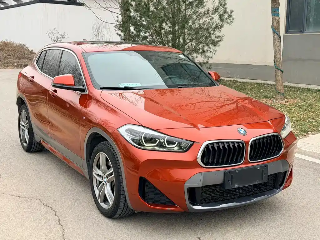 BMW X2 2020 — фото 6