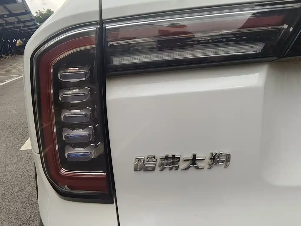 Haval Big Dog 2022 — фото 31