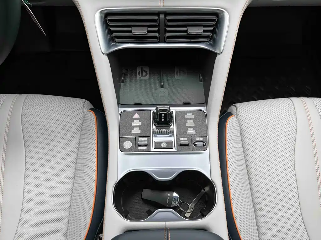 BYD PLUS New Energy 2023 — фото 20