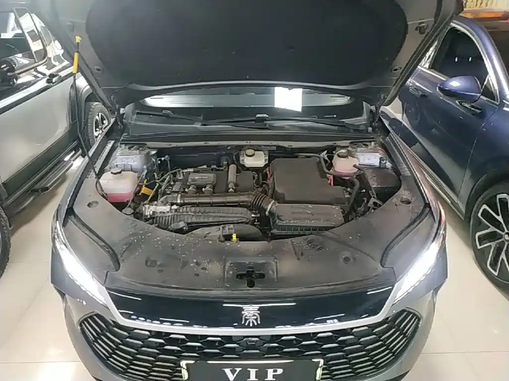 BYD Qin PLUS 2025 — фото 20