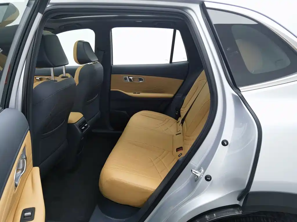 Geely Galaxy Starship 7 2025 — фото 15
