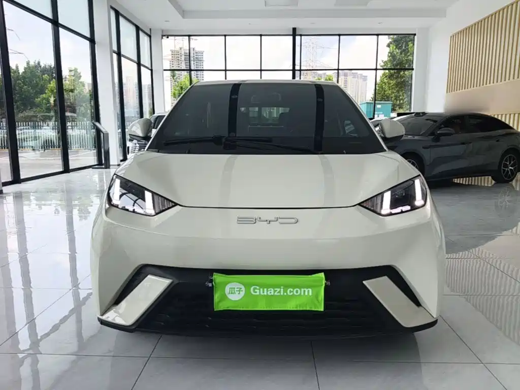 BYD Seagull 2024