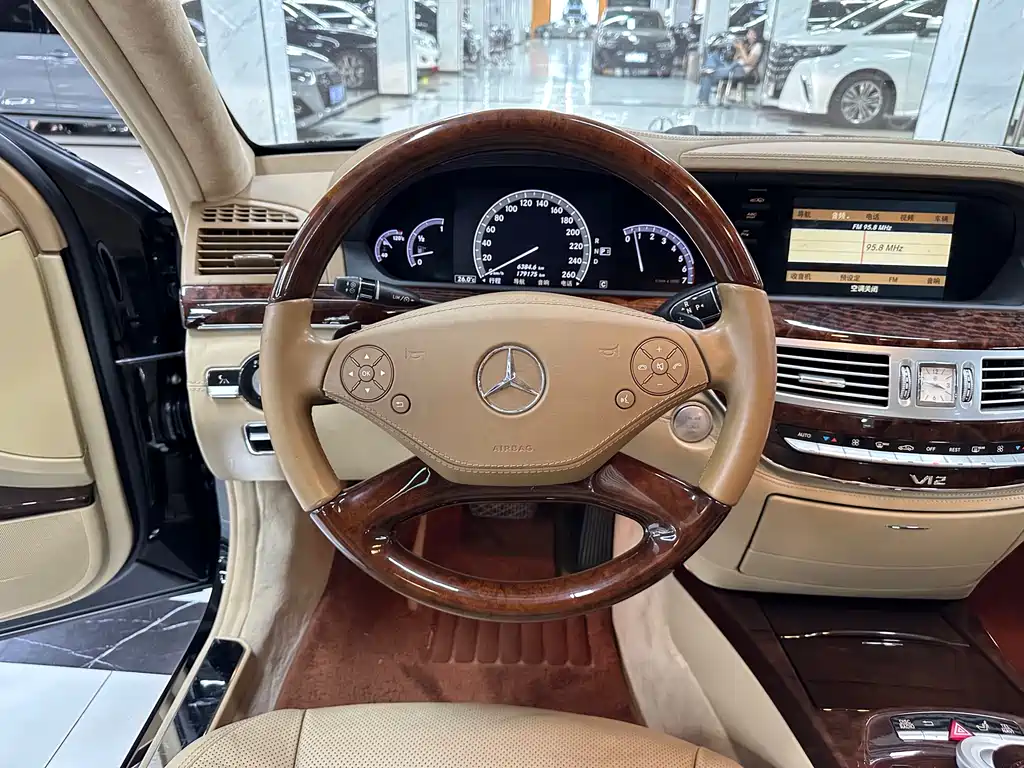 Mercedes-Benz S-Class 2010 — фото 14