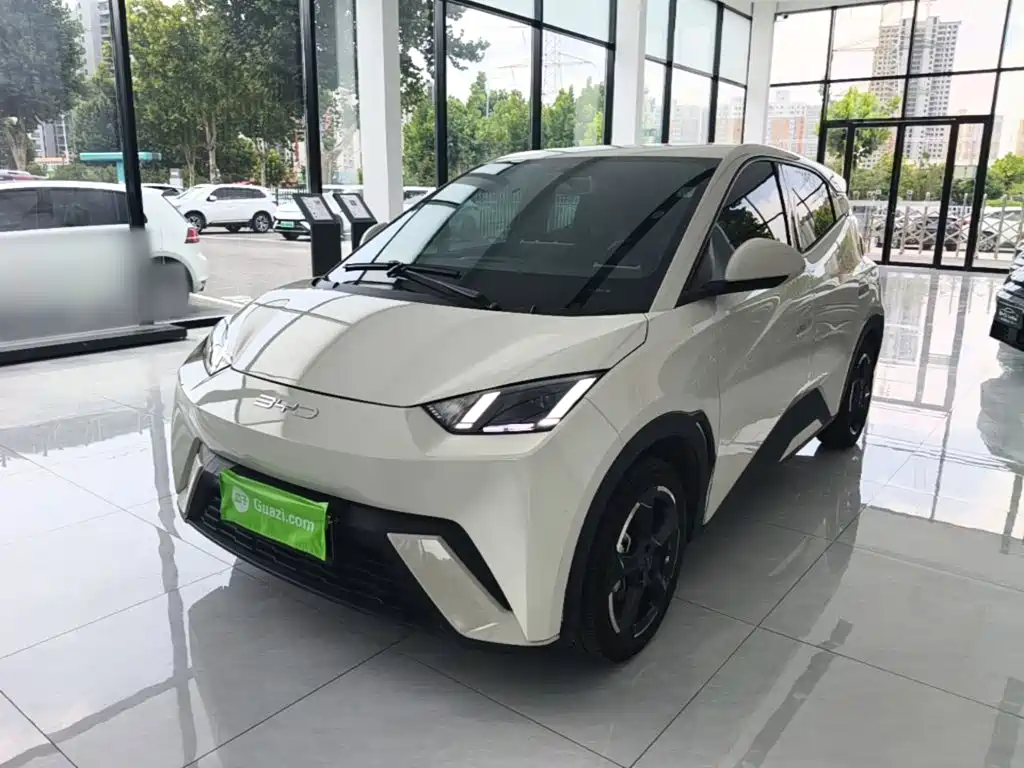 BYD Seagull 2024