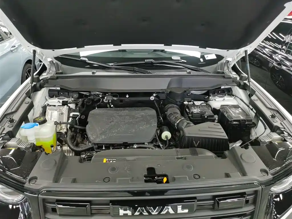 Haval Big Dog 2025 — фото 16