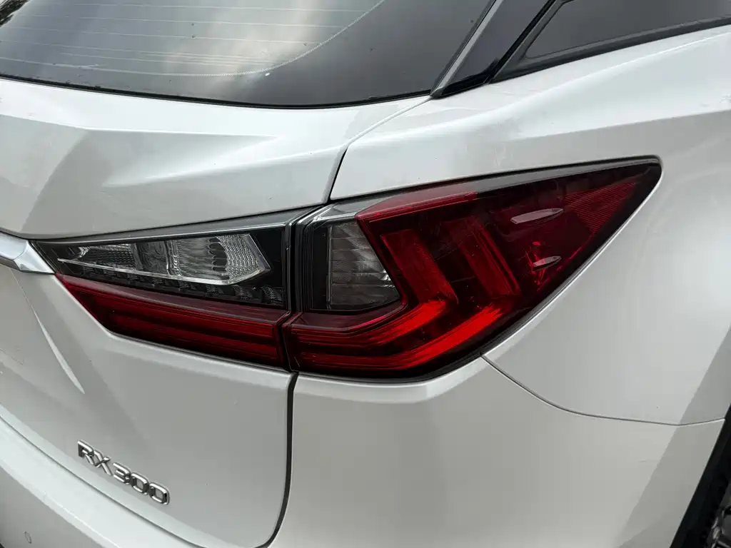Lexus RX 2019 — фото 14