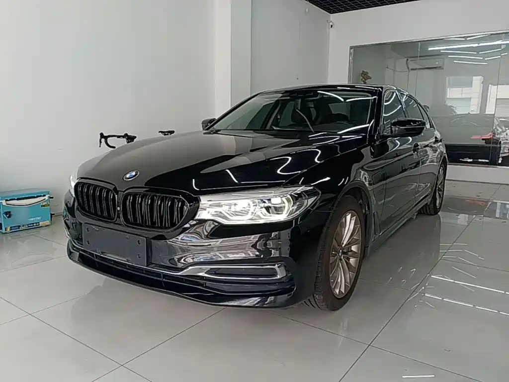 BMW 5 Series New Energy 2020