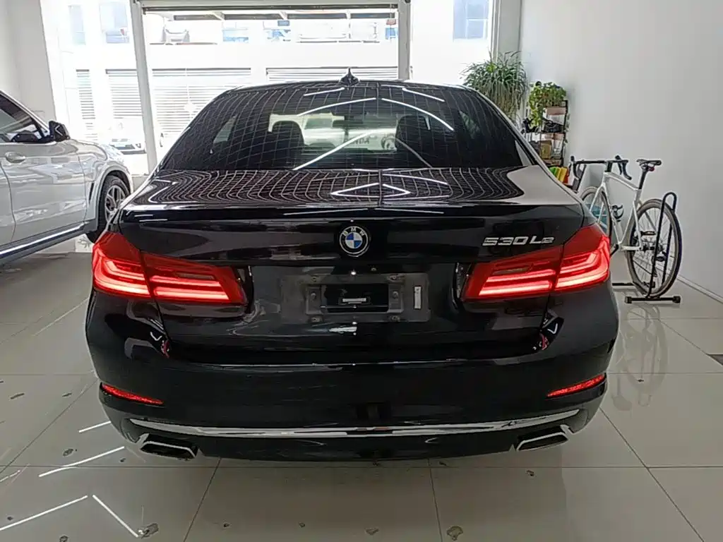 BMW 5 Series New Energy 2020