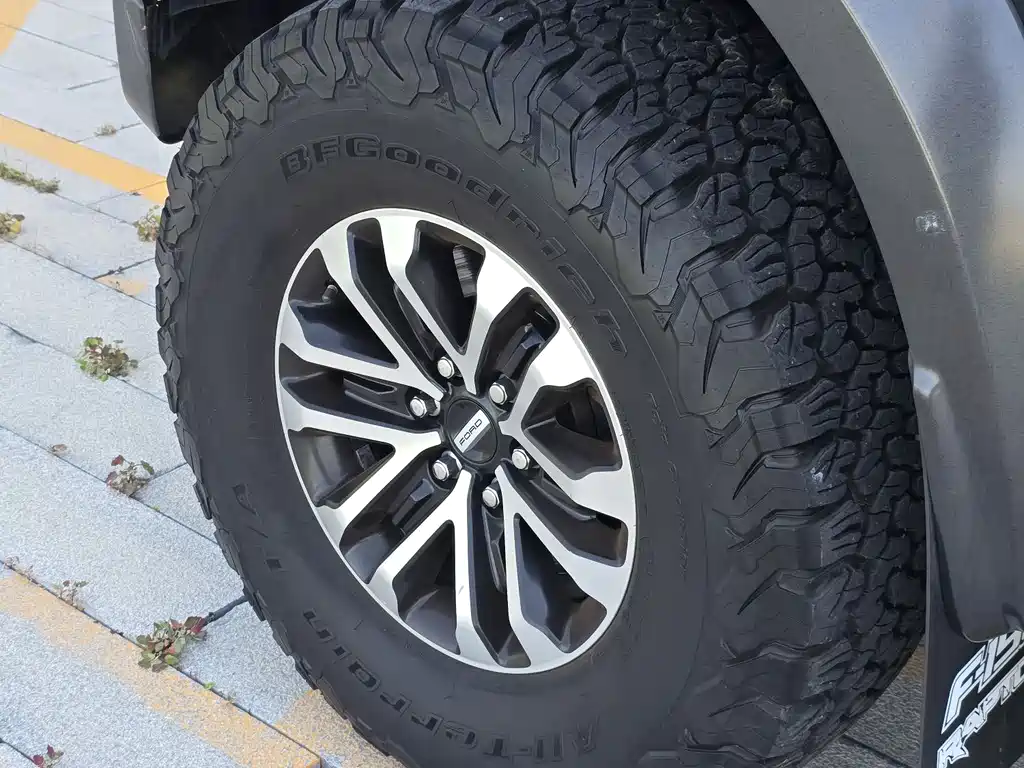 Ford F-150 Raptor 2019 — фото 11