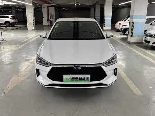 BYD e2 2021