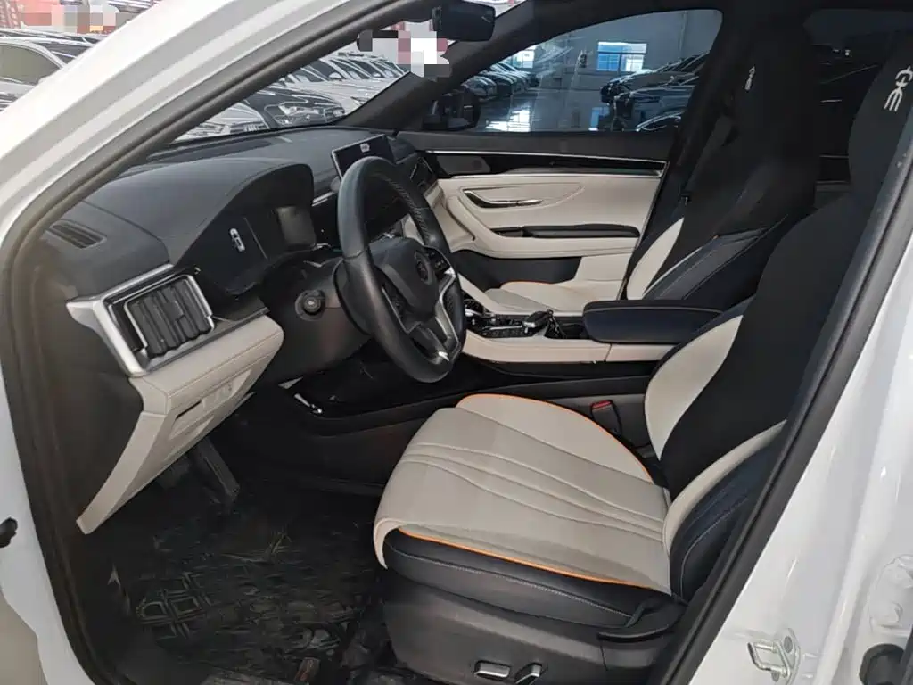 BYD PLUS New Energy 2023 — фото 11