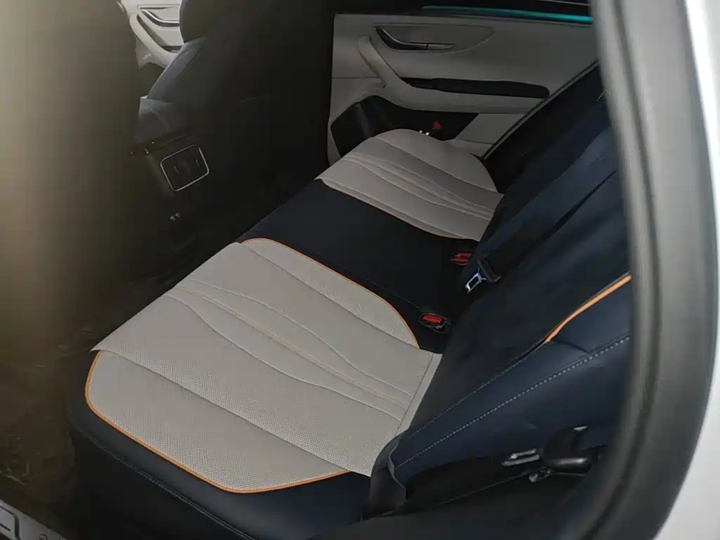 BYD PLUS New Energy 2023 — фото 13