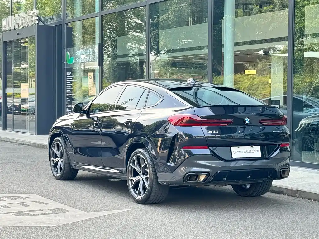 BMW X6 2024