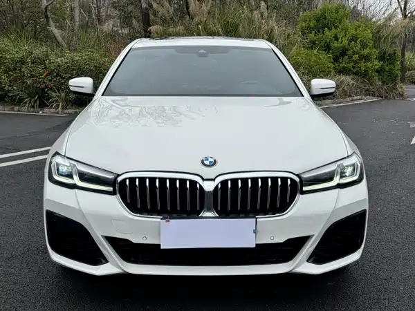 BMW 5 Series 2022