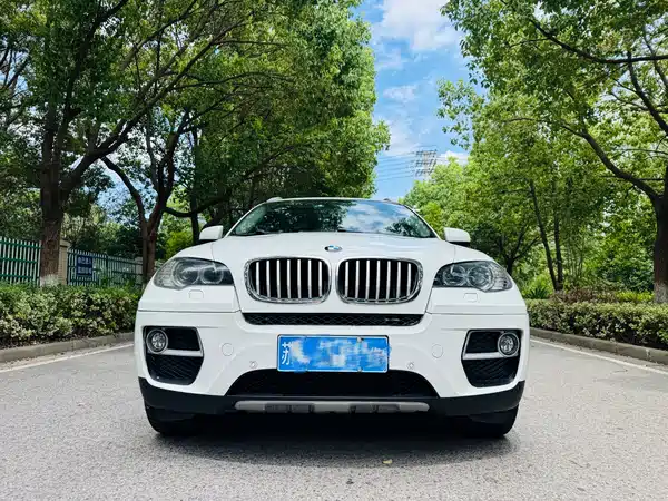 BMW X6 2014