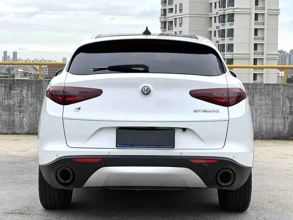 Alfa Romeo Stelvio 2019 — фото 5