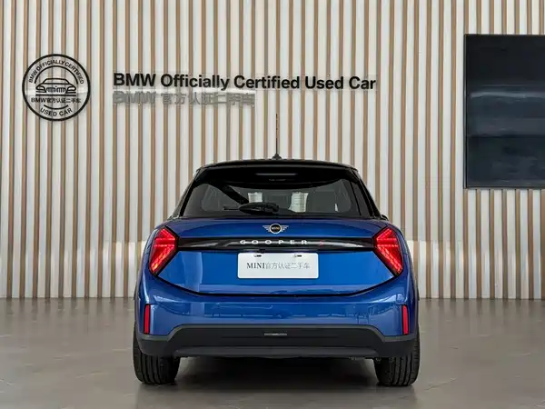 MINI MINI 2024