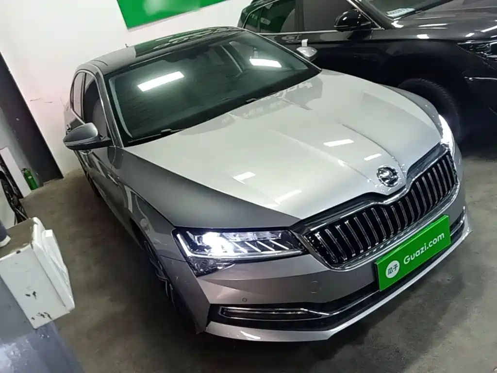 Skoda Speedy 2024