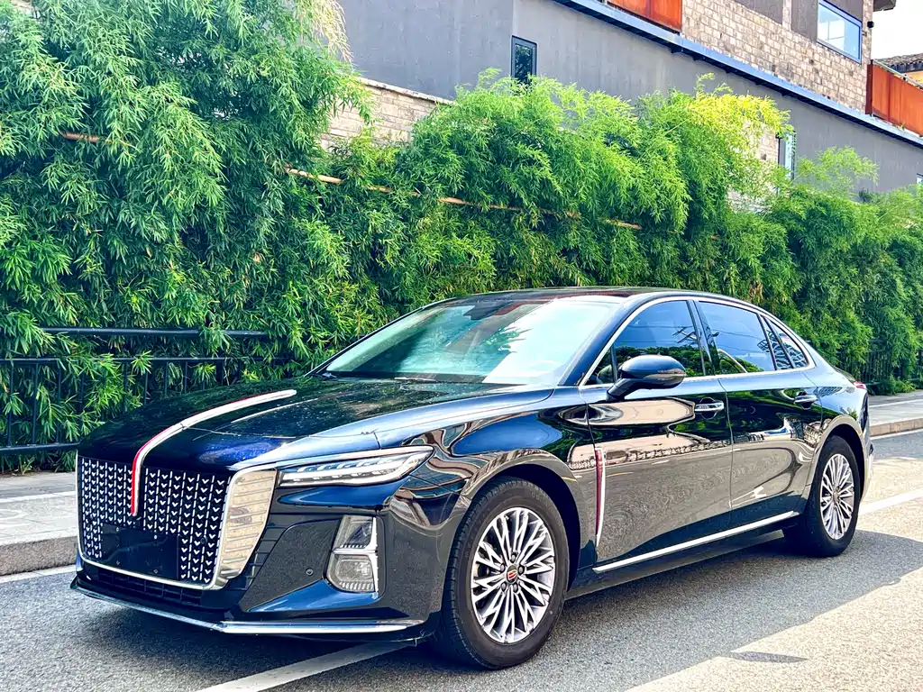 Hongqi H5 2024 — фото 1
