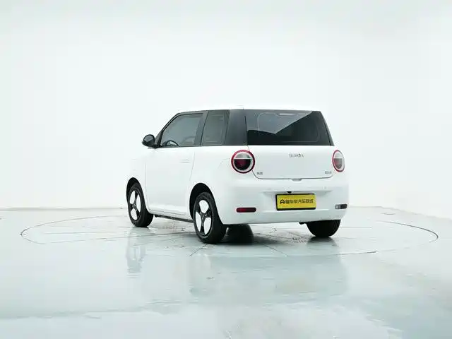 Qiyuan Lumin 2025