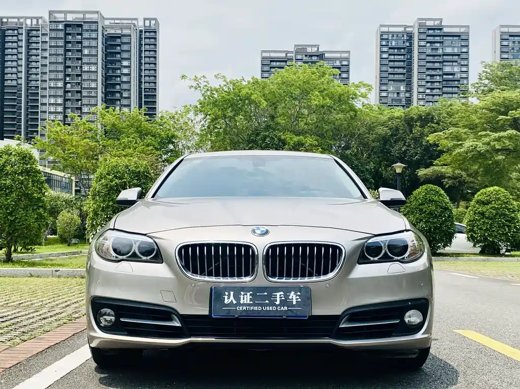 BMW 5 Series 2014 — фото 2