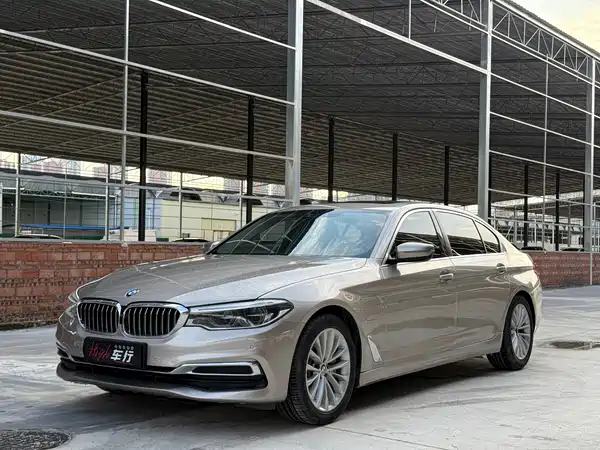 BMW 5 Series New Energy 2020